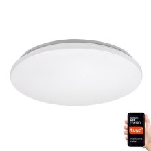 Rabalux - LED RGB Dimmable ceiling light LED/24W/230V Wi-Fi Tuya 3000-6500K 31 cm