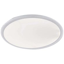 Reality - LED Bathroom ceiling light CAMILLUS LED/30W/230V IP44
