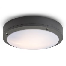RED - Design Rendl - R10382 - Outdoor ceiling light SONNY 2xE27/18W/230V IP54