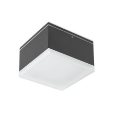 Redo 90109 - LED Outdoor ceiling light AKRON 1xLED/9W/230V IP54