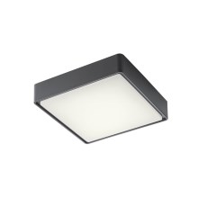 Redo 90157 - Outdoor LED ceiling light MARINA 1xLED/12W/230V IP65