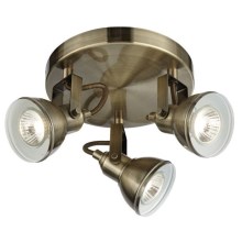 Searchlight - Spotlight FOCUS 3xGU10/50W/230V brass