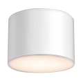 Shilo - Bathroom ceiling light 1xGX53/15W/230V IP44 white