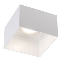 Shilo - Ceiling light 1xGX53/15W/230V white