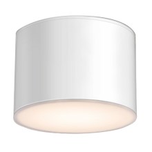 Shilo - Ceiling light 1xGX53/15W/230V white