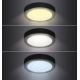 LED Ceiling light LED/12W/230V 3000/4000/6000K black round