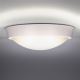 LED Outdoor ceiling light 1xLED/30W/230V  IP65