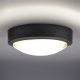 LED Outdoor ceiling light SIENA LED/20W/230V IP54 d. 23 cm anthracite