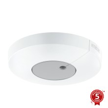 STEINEL 033651 - Dusk swtich Light Sensor Dual KNX white