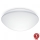 Steinel 056131 - LED Bathroom light RS PRO LED P3 LED/19,5W/230V IP54 3000K