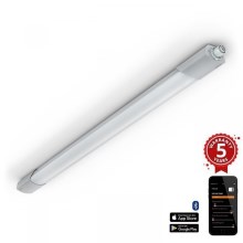 Steinel 078881 - LED Heavy-duty light with a sensor RS PRO 5100 SC LED/30W/230V IP66