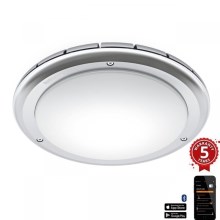 Steinel 079772 - LED Outdoor ceiling light with a sensor RS PRO S20 SC LED/15,7W/230V IP65 4000K