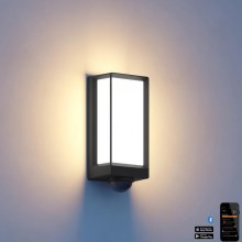 Steinel 085261 - LED Dimmable outdoor wall light with sensor L42SC LED/13W/230V IP54