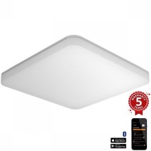 Steinel - LED Dimmable ceiling light with sensor RSPROR20BASICQ 15,3W/230V IP40 4000K