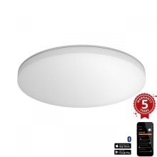 Steinel - LED Dimmable ceiling light with sensor RSPROR30BASICSC 23,22W/230V IP40 3000K