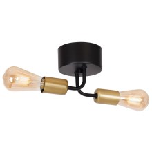 Surface-mounted chandelier BRENDA 2xE27/60W/230V black/gold