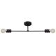 Surface-mounted chandelier CAMBRIDGE 2xE27/60W/230V black