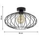 Surface-mounted chandelier EARTH L 1xE27/60W/230V