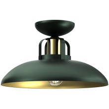 Surface-mounted chandelier FELIX 1xE27/60W/230V green