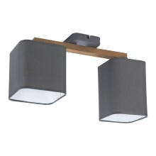 Surface-mounted chandelier TORA 2xE27/15W/230V grey