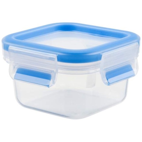 Tefal - Food container 0,25 l MASTER SEAL FRESH blue