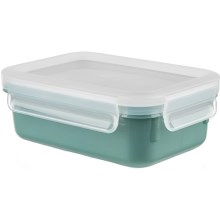 Tefal - Food container 0,55 l MSEAL COLOR green