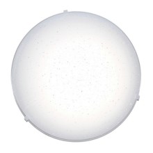 Top Light - LED Ceiling light LED/12W/230V