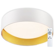 Top Light - LED Dimmable ceiling light IVONA 40B RC LED/24W/230V + remote control white