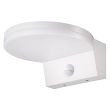 Top Light - LED Outdoor wall light with a sensor LED/15W/230V IP65 white