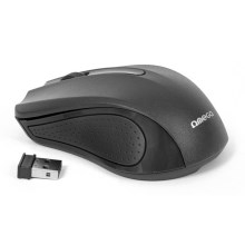 Wireless mouse  1000 DPI black