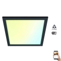 WiZ - LED Dimmable ceiling light SUPERSLIM LED/12W/230V 2700-6500K Wi-Fi black