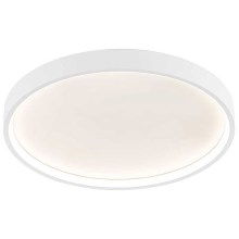 Wofi 12055 - LED Ceiling light DUBAI LED/27,5W/230V white