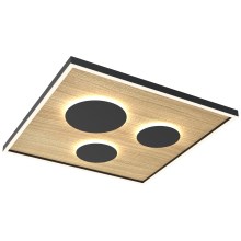 Wofi 9012-306L - LED Dimmable ceiling light DIJON LED/40W/230V