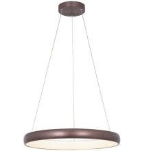 Zambelis 2055 - LED Dimmable chandelier on a string LED/50W/230V d. 60 cm brown