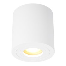 Zuma Line - Bathroom spotlight 1xGU10/50W/230V IP44 white