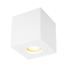 Zuma Line - Spotlight 1xGU10/50W/230V white